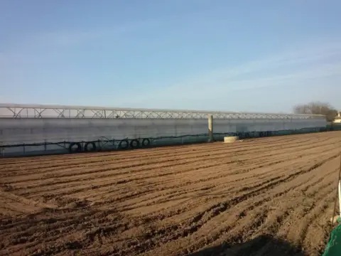 Terreno en Centro-Zona Noreste