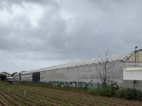 Terreno en Centro-Zona Noreste