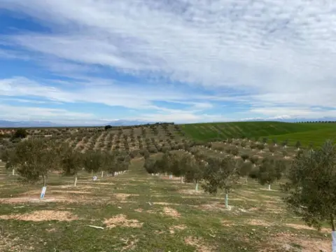 Terreno en Salar