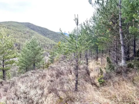 Terreno en calle Poligono 43 Parcela 67 Campulera. Jaca (Huesca) No