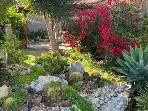 Chalet en Núcleo Urbano