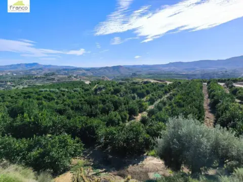 Terreno en Cañadas de San Pedro