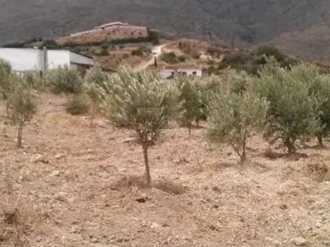 Terreno en Zona Calvario