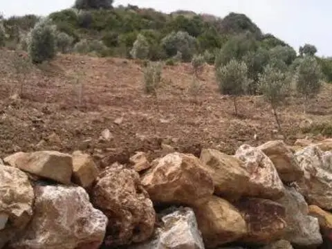 Terreno en Zona Calvario