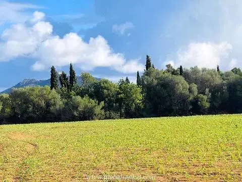 Terreno en Felanitx