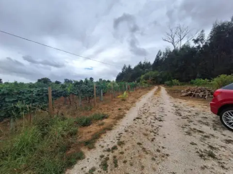 Chalet en As Cortes (Leiro)
