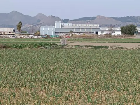 Terreno en Maracena
