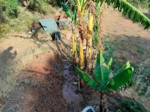 Terreno en Altos de Estepona