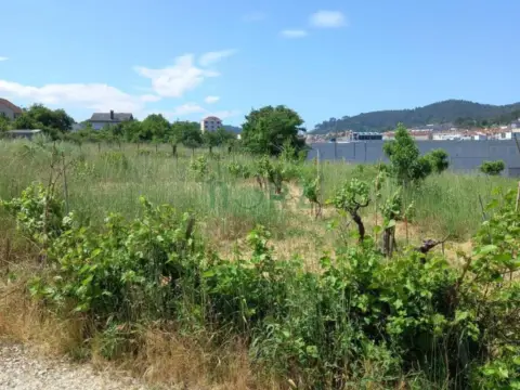Terreno en A Carballeira