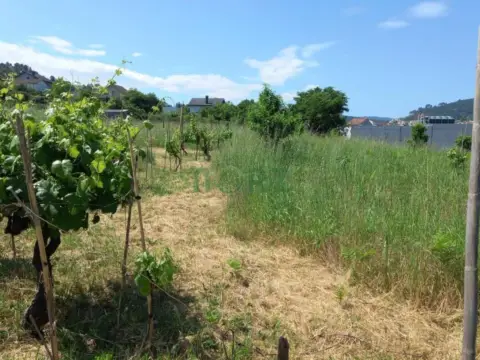 Terreno en A Carballeira
