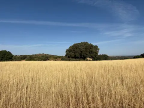 Casa rústica en Ruidera