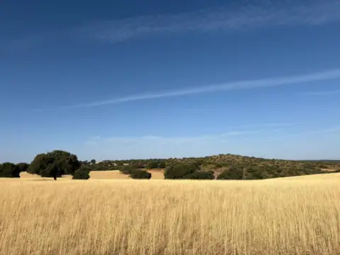 Casa rústica en Ruidera