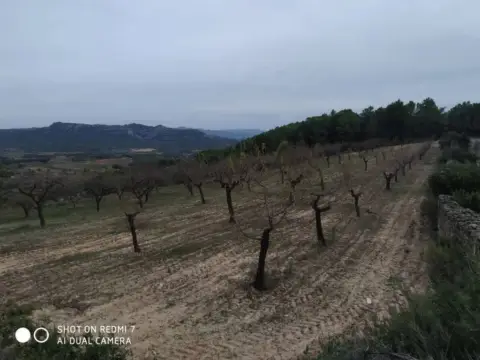Finca rústica en Bot