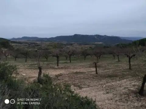 Finca rústica en Bot