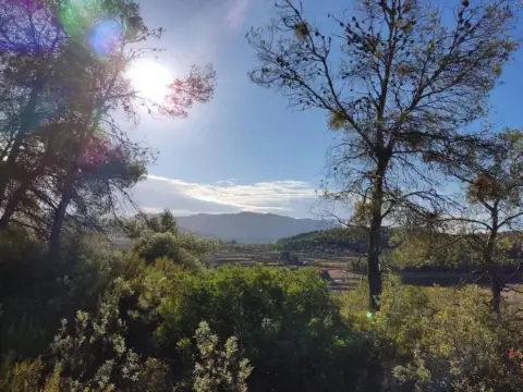 Finca rústica en Bot