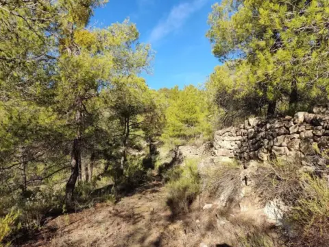 Finca rústica en Bot