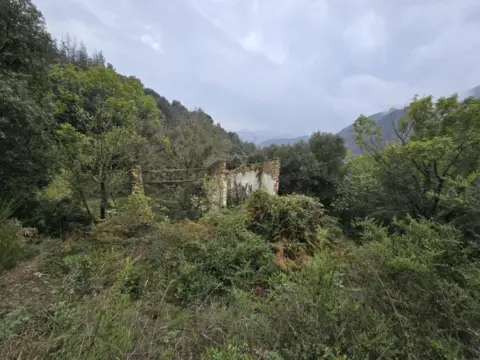 Terreno en Susqueda