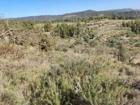 Finca rústica en Carrer del Olivar