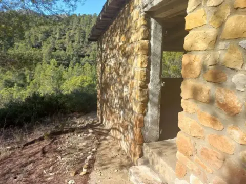 Finca rústica en calle El Port S/N
