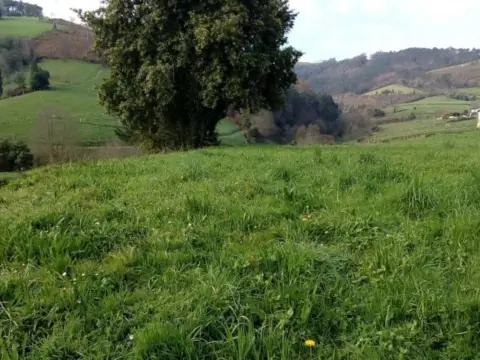 Terreno en calle Valtravieso. 33791, Valdes (Asturias)