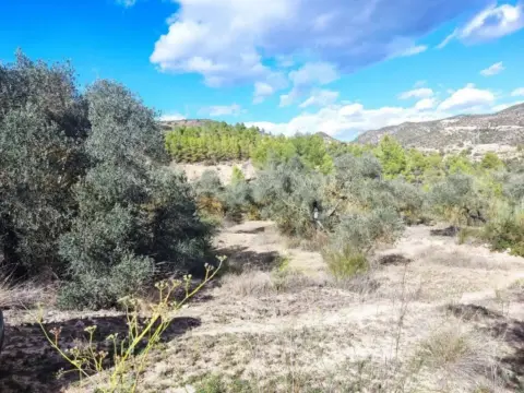 Finca rústica en Carrer de Berrús