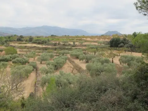 Finca rústica en Horta de Sant Joan