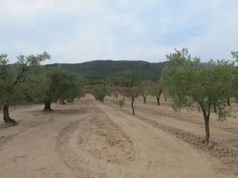 Finca rústica en Horta de Sant Joan