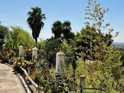 Casa rústica en Cantillana