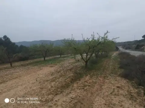 Finca rústica en calle Carretera Bot-Horta S/N