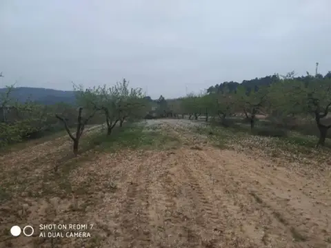 Finca rústica en calle Carretera Bot-Horta S/N
