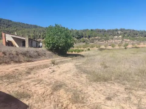 Finca rústica en calle Carretera Horta S/N