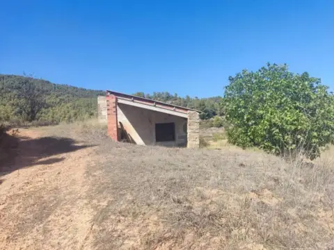 Finca rústica en calle Carretera Horta S/N