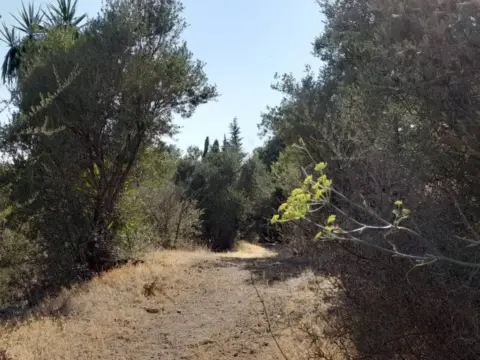 Terreno en Valtocado-La Alquería-La Atalaya