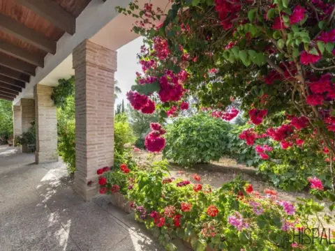 Casa rústica en Peñaflor