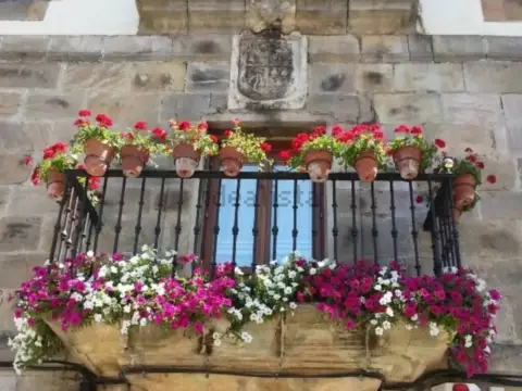 Piso en Avenida de Puente de Carlos III