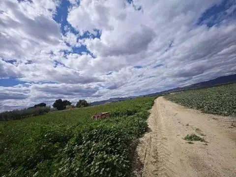 Terreno en calle Diseminado Aguaderas, 172