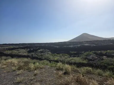 Terreno en Tahiche