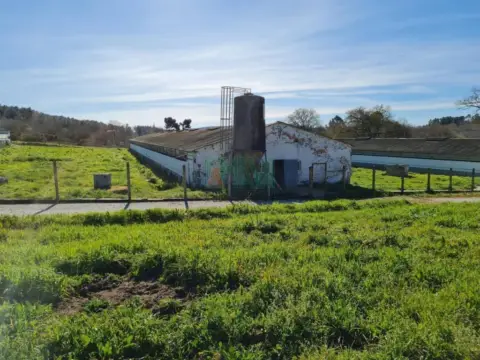 Terreno en O Pereiro de Aguiar