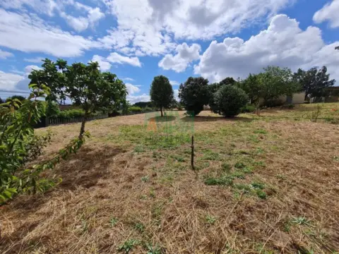 Finca rústica en San Cibrao das Viñas