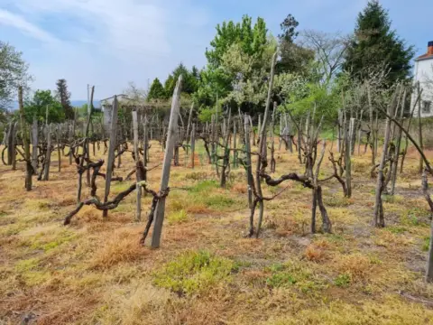 Terreno en Vinteún