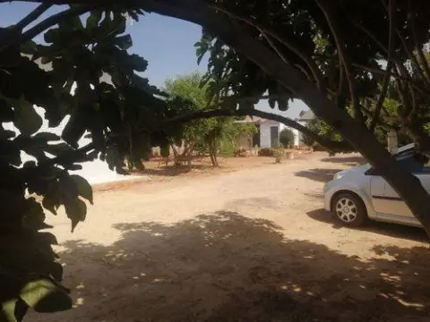 Pis – Chiclana de la Frontera