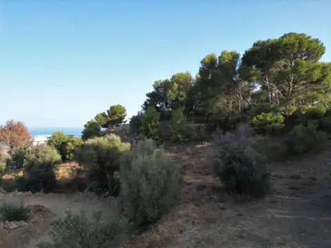 Terreno en El Higuerón-La Capellanía
