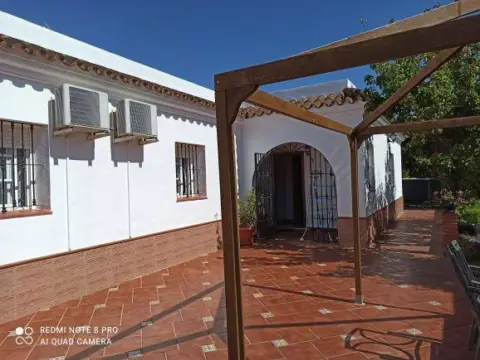 Pis – Chiclana de la Frontera, Bahía de Cádiz