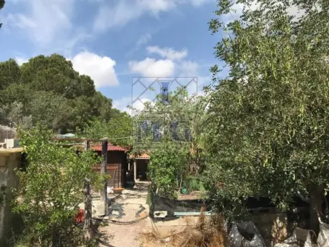 Casa en Murcia Capital