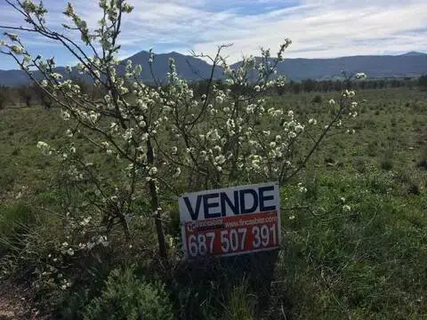 Terreno en Biar