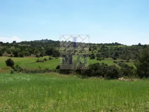 Terreno en Yeste