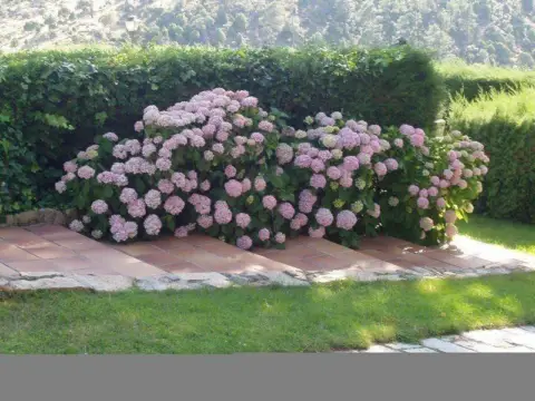 Chalet en Robledo de Chavela