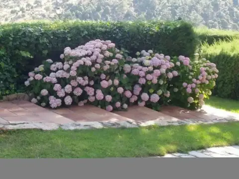Chalet en Robledo de Chavela