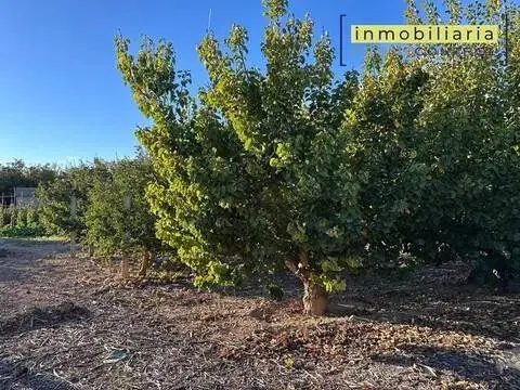Terreno en Ronda de San Isidro