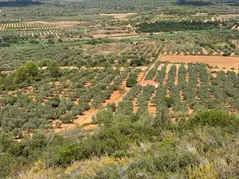 Casa rústica en Les Coves de Vinromà
